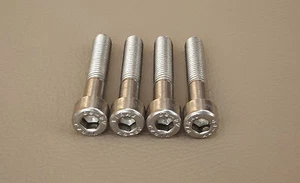 Suzuki GSX1300R Hayabusa (1999-2007) Front Axle Pinch Clamp Bolts Stainless - Picture 1 of 1