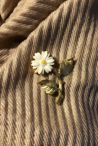 Vintage Zelluloid? weiße Gänseblümchen Blumen Brosche Top Zustand unbeschriftet selten - Bild 1 von 5