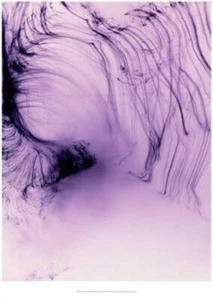Wolfgang Tillmans Poster Its Only Love Give It Away, 2005 Neu - Bild 1 von 1