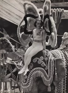1940s Vintage CIRCUS Butterfly Costume Woman Elephant Ringling Bros Photo Art - Picture 1 of 1