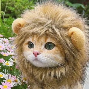 Cute Lion Mane Cat Wig Small Dog Cats Costume Lion Mane Wig Cap Hat for Cat Dogs - Picture 1 of 7