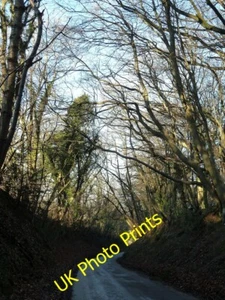 Foto 12x8 Marlin Hill zwischen Wixe's Wood & Bishop's Wood Tring eine Ansicht do c2014 - Bild 1 von 1