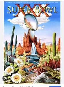 Super Bowl XXX (Arizona 1996) Original Official NFL Football 24x36 Event POSTER - Picture 1 of 3