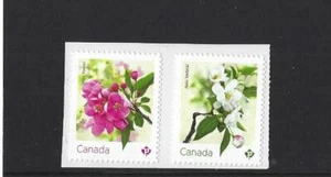 PAR AUTOADHESIVO FLORES CANGREJO CANADÁ 2021 SIN MONTAR COMO NUEVO, SIN USAR, SIN USAR, - Imagen 1 de 1