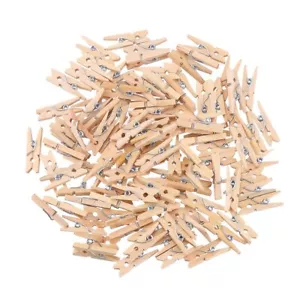 Sturdy 1 Inch Mini Wooden Craft Clothespins 100pcs - Picture 1 of 8
