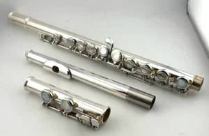 Flauto Kurioshi Vivace V12253 - Foto 1 di 2