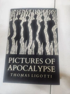 Thomas Ligotti PICTURES OF APOCALYPSE HC 1st Chiroptera Edition Horror *RARE** - Picture 1 of 5
