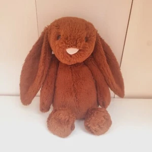 Jellycat Medium Bashful Chocolate Brown Bunny Retired Rare 12" Original - Bild 1 von 10