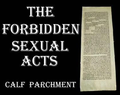 TORAH SCROLL BIBLE MANUSCRIPT FRAGMENT/LEAF 200 YRS Germany Leviticus 18:1-19:15 - Image 1 of 4