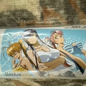 HOTD High School of the Dead Anime Wall Scroll 31x44” Poster Tessuto Sigillato GE - Foto 1 di 6