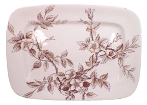 Sylvan braune Transferware-Platte TG & FB Stände England Antik A Beauty - Bild 1 von 6