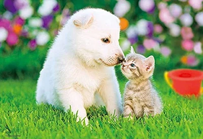 [Hecho en Japón] Rompecabezas Beverly 300 piezas &quotLove Feelings" 26 x 38 Foto 1 de 2