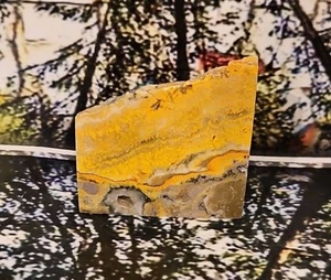 Bumblebee Jasper Slab 4.56oz - Picture 1 of 4