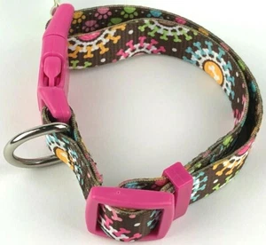 Circle of Bones Collar Top Paw Adjustable Colorful Small 3/4" Wide 10" - 14" New - Picture 1 of 7