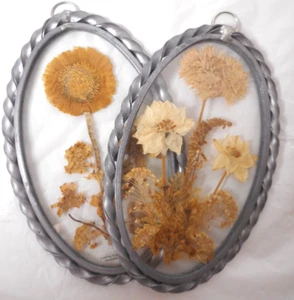 ÚLTIMAS IMPRESIONES De Colección Flores Secas Bajo Vidrio Ovalado Colgante de Pared Placa Giratoria - Imagen 1 de 11