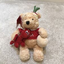 Disney Store Exclusive Winnie the Pooh St. David's Day 8" Plush Stuffed Toy NEW