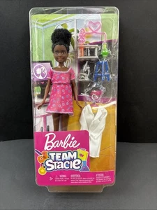 Mattel Barbie Team Stacie African American Chemist Puppe 2018 selten GBK58 LESEN - Bild 1 von 12