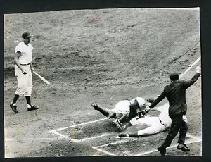 Andy Seminick Frank Baumholtz Babe Pinelli 1954 Press Photo Cubs Cincinnati Reds - Picture 1 of 2