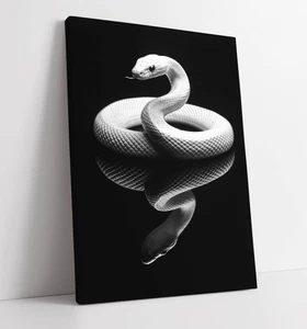 WHITE SNAKE ON BLACK BACKGROUND -DEEP FRAMED CANVAS WALL ART PRINT - Picture 1 of 2