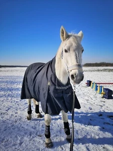 Avalanche Pro Regendecke, 150g, 165 cm, High Neck, mit Gehfalte - Bild 1 von 13