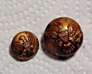 Zwei US Spanish American War Eagle Uniformknöpfe Manschette & Uniformmantel - Bild 1 von 4