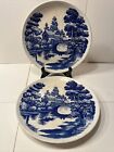 Vintage  Nasco Blue Willow Hand Painted 9 Plates Lakeview  Made In Japan