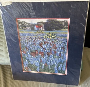 GOLD Signature print with matting by George  Boutwell art 12 X 14 Flowers - Picture 1 of 3