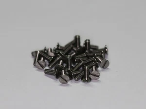 10 x Titan Grade 2 Schrauben 2. Wahl / Titanium Grade 2 screws DIN 963 M2 x 4 - Bild 1 von 1