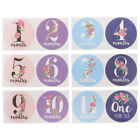  12 Pcs Baby First Year Tracker Month Old Stickers Milestone Decal Paper