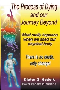 The Process of Dying and our Journey Beyond (Paperback or Softback) - Imagen 1 de 1