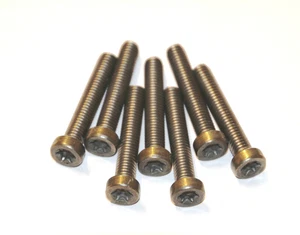 5 x Titan Gr. 2 Schrauben / Titanium Grade 2 Screws ISO 14580   M6 x 35     - Bild 1 von 1