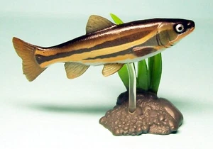 Yujin Freshwater Fish in color part 1 Big scaled redfin fish figure US seller - Picture 1 of 3