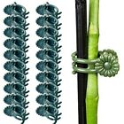 Get Ready to Plant with These Orchid Clips 20pcs Stem Clamps for Support