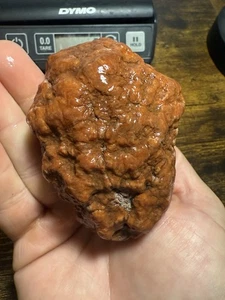 Fossilized Indiana Geode Quartz Crystal Whole 1,715 Carats Agate Red - Picture 1 of 5