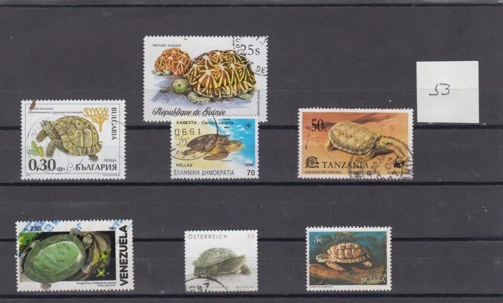 Prophila Collection Briefmarken Malediven 2017 – Schildkröten Kleinbogen, Postfrisch MNH
