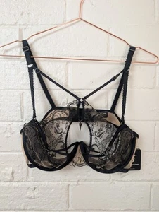 Honey Birdette Yasmina Black Sexy Dragon Embroidery Bra 14D / 36D Discontinued - Picture 1 of 9
