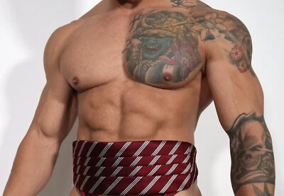 MEN'S SILK STRIPED CUMMERBUND - Image 1 of 4