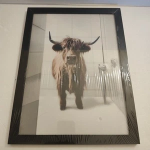 New Framed HIGHLAND BULL In SHOWER BATHROOM DECOR ART WORK PICTURE 12" By 16" - Picture 1 of 8