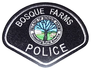 BOSQUE FARMS VILLAGE NEW MEXICO NM Police Patch CABIN TREE  - Picture 1 of 1