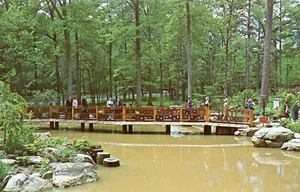 Japanische Gärten, Birmingham Botanischer Garten, Birmingham, Alabama -- POSTKARTE - Bild 1 von 2