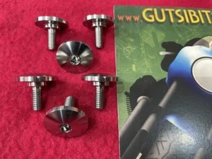 Moto Guzzi Titanium Rocker Cover Screw Kit 842291 V7 III ALL, V9 ALL, V7 850 ... - Picture 1 of 3