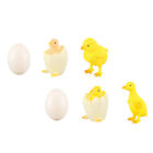 Toyvian Hen & Duck Life Cycle Figurines - Educational Toys for Kids