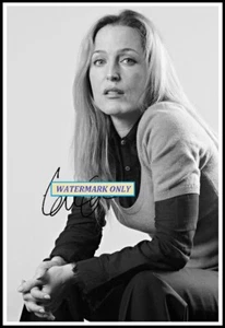 Imagen de lona de algodón autografiada de Gillian Anderson. Edición limitada (AG-214) - Imagen 1 de 1