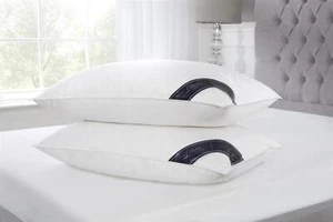 Coppia cuscini piuma d’oca continentale europea 40 cm x 80 cm (16” x 32”) - Foto 1 di 6