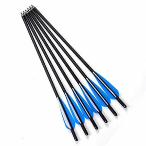 Flechas ballesta de carbono 17/20/22" OD 8,8 mm 6 piezas para caza con arco compuesto y recurvo - Imagen 1 de 12