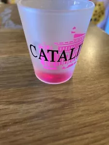 Vaso de chupito vintage - Catalina Island CA, esmerilado - Imagen 1 de 4