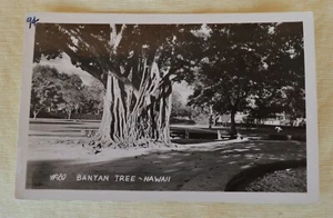 Vintage B&W Photo RPPC #20 Banyan Tree Hawaii Unposted - Picture 1 of 5