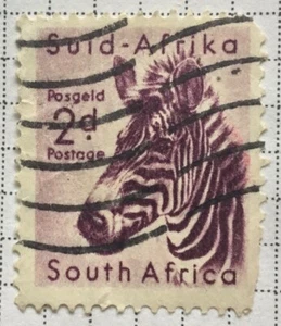 South Africa stamps - Mountain Zebra (Equus Zebra) 2d 1954 Sg:ZA 154 - Picture 1 of 1