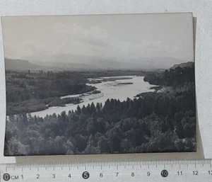 48749 Foto d'epoca 230 - Fiume Piave anni 60 - 12x9 cm - Bild 1 von 4