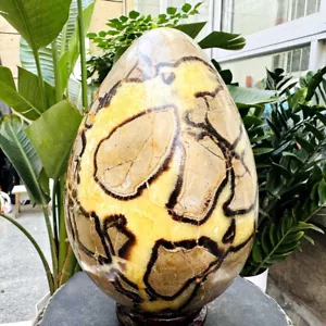 12,8 lb Piedra Trasera Tortuga Natural Forma Huevo Dragón Cristal Grieta Mineral Espécimen - Imagen 1 de 17